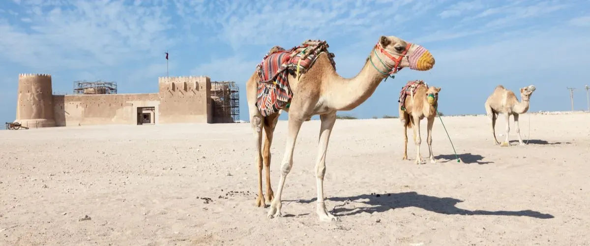 الزبارة موقع التراث العالمي لليونسكو، قطر: استكشاف التراث القطري