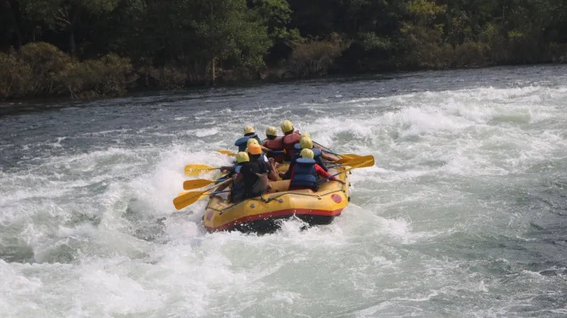 Try River Rafting in Bhadra River