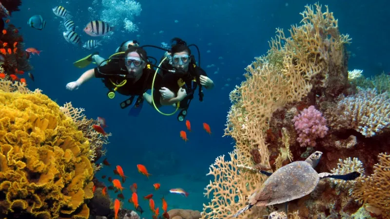 Explore New Depths with Scuba Diving