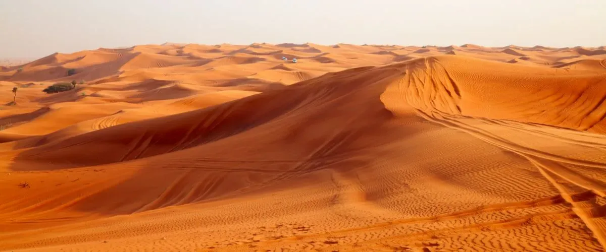 رحلات السفاري الصحراوية في الرياض، المملكة العربية السعودية التي ستمنحك تجربة العمر