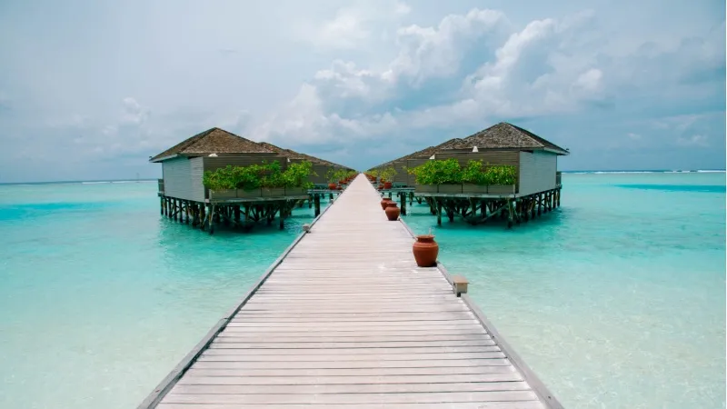  Meeru Maldives Resort Island