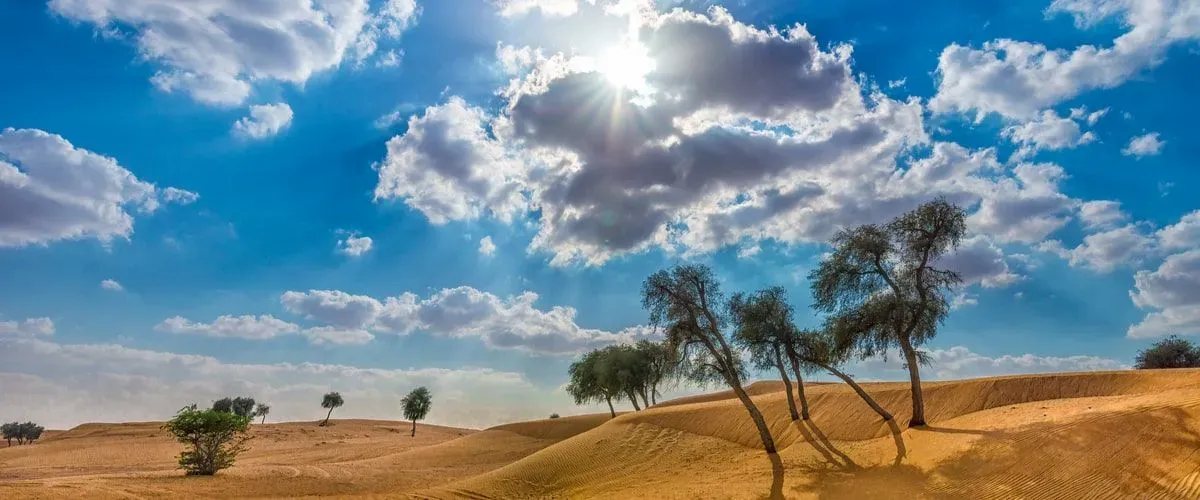 رحلة سفاري صحراوية في العين، الإمارات العربية المتحدة لقضاء إجازة ممتعة على الإطلاق