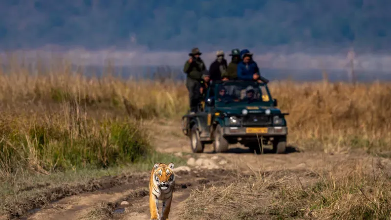 Dhikala Zone: Time for a Jungle Safari