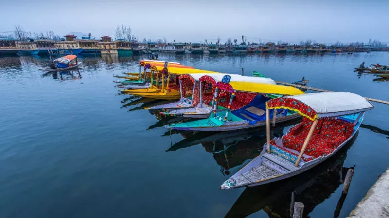 Dal Lake: The Heart of Srinagar