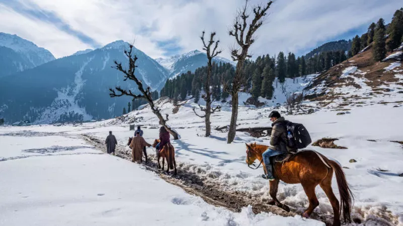 Aru Valley: Exploring through the Snow-Capped Mountains