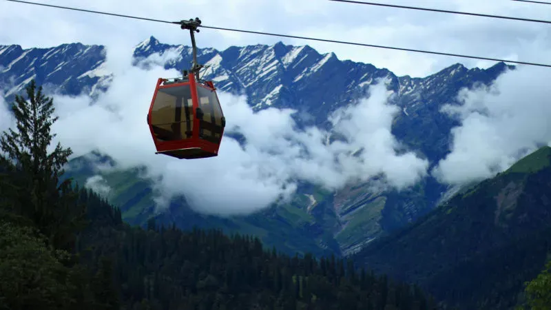Timber Trail Cable Car Ride: Don’t Look Down, But Around!