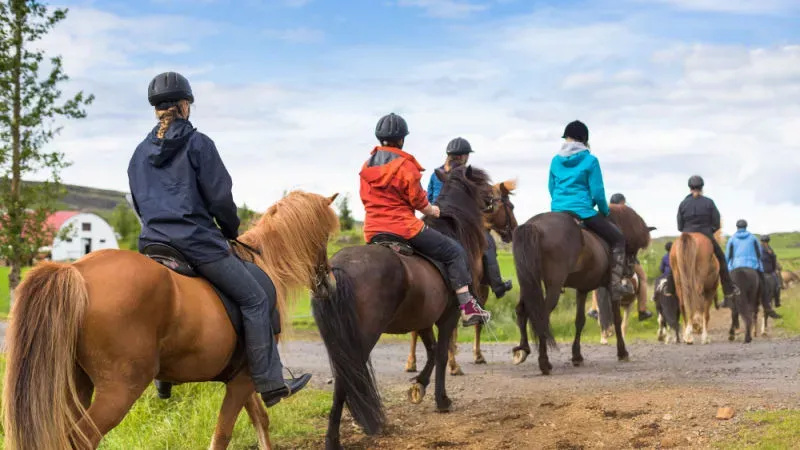 Horse Riding in Solang: Cutting Through the Wild Wind
