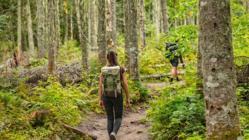 Go for a Nature Walk: Take a Peaceful and Rejuvenating Wild Walk