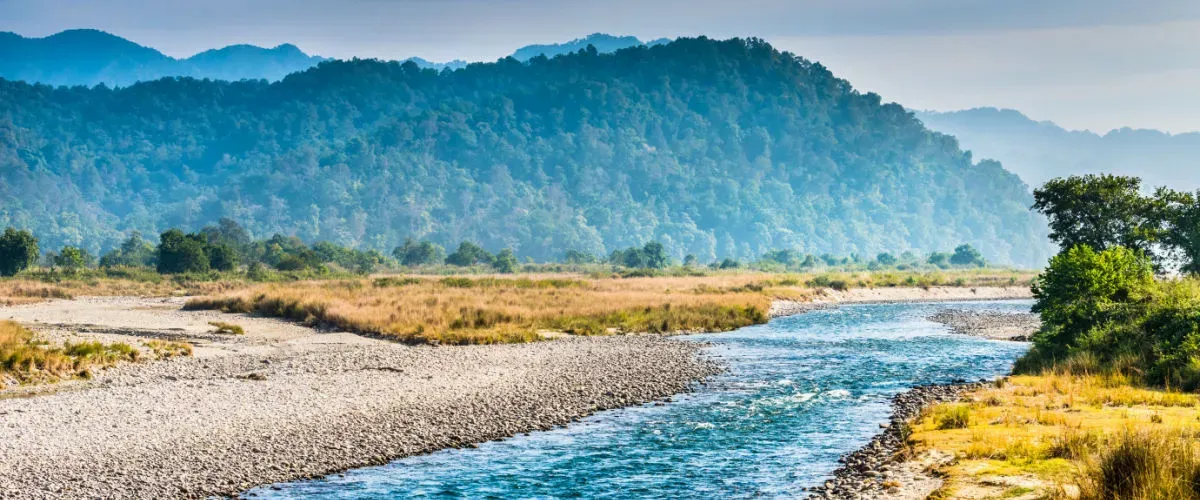 10 Things to Do in Jim Corbett: A Perfect Getaway to Challenge the Adventurous You
