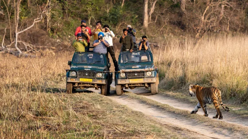 Jeep Safari