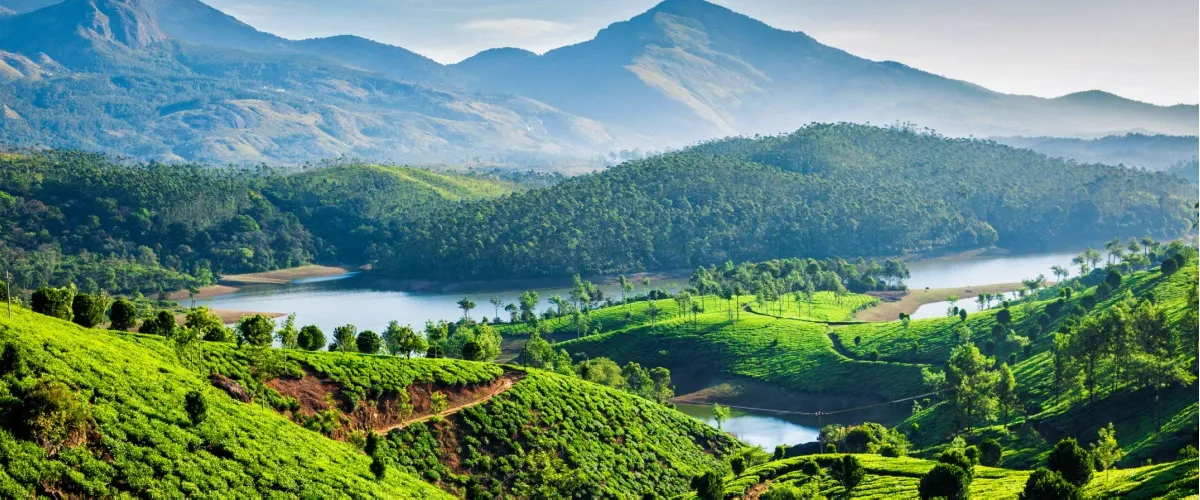 Things to Do in Munnar: An Exotic Destination for Adventures