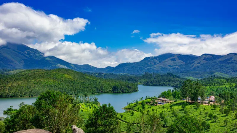 Best Things to Do in Munnar