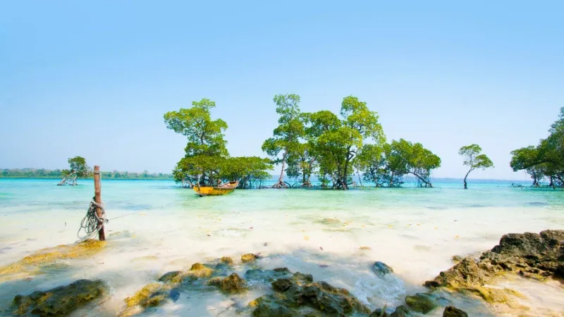 Top Things to Do in Andaman