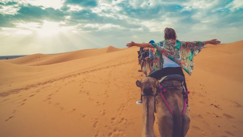 Camel Safari in Ajmer