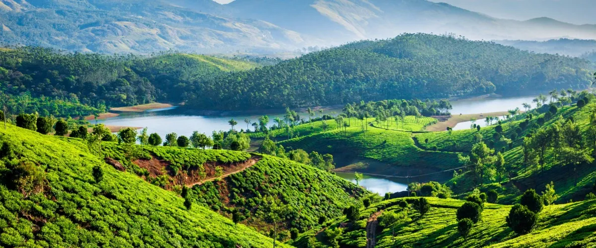 Best 10 Places to Visit in Munnar: Immerse Yourself in Nature's Paradise