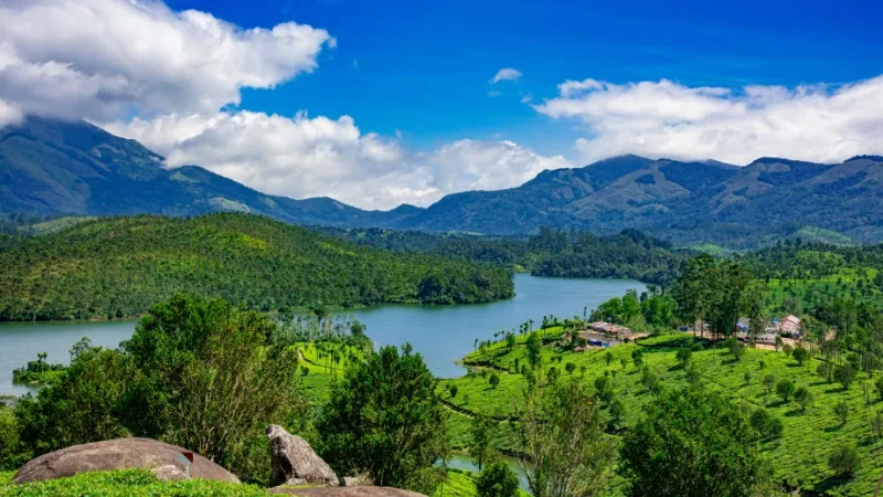 Top Places to Visit in Munnar