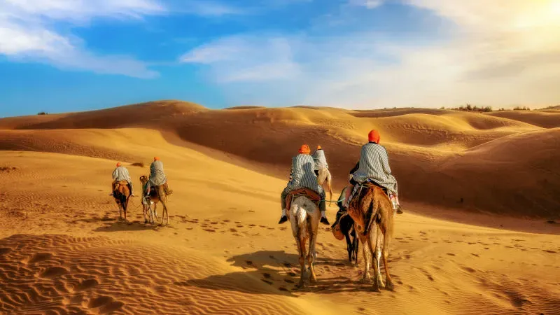 Go for a Camel Safari in the Desert
