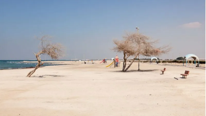 شاطئ الجزائر
