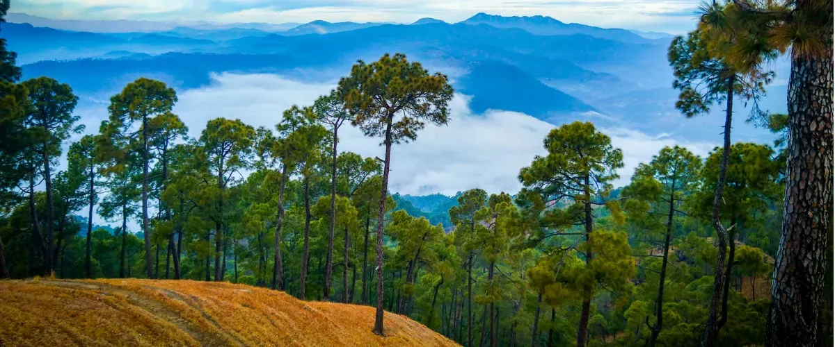 Things to do in Ranikhet: The Captivating Beauty of “The Queen Hills”