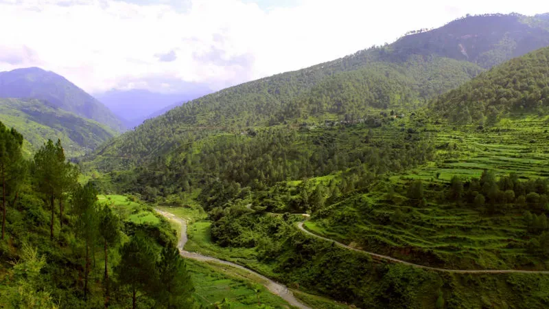 Top Things to Do in Ranikhet
