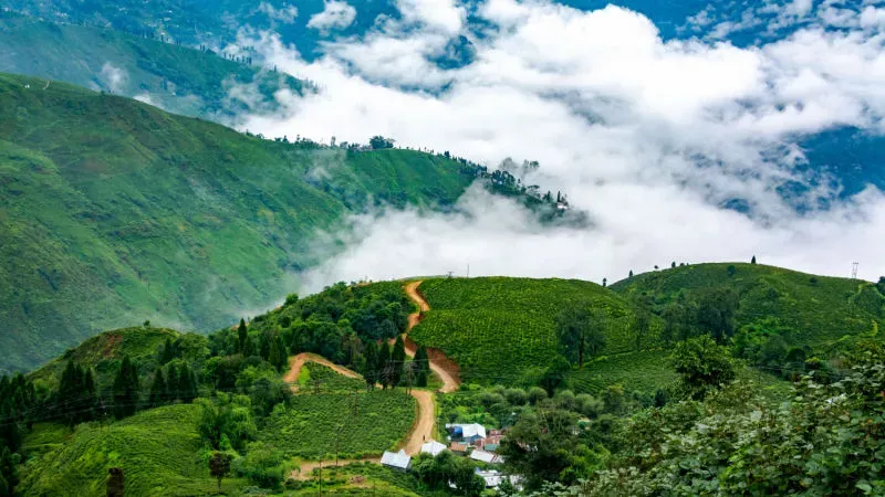10 Best Places to Visit in Darjeeling