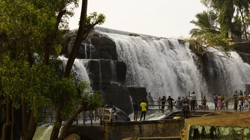 Thirparappu Falls