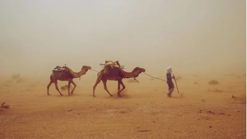 خور العديد