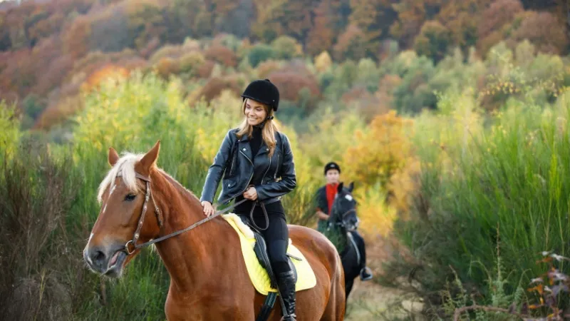 Try Horse Riding at Kumbhalgarh Reserve