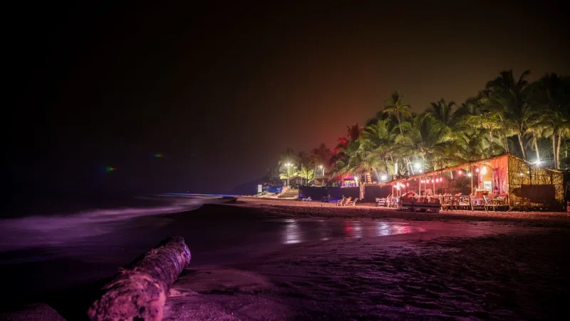 Goa Beaches: Best for Couples, Singles & Families