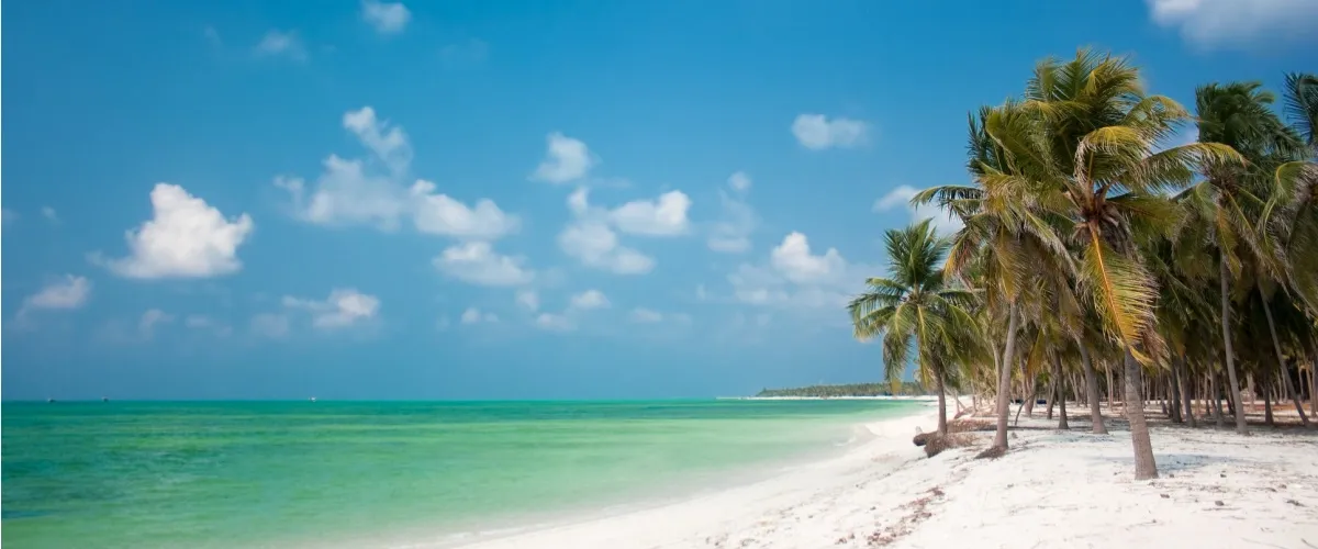 Top 8 Places to Visit in Lakshadweep for a Romantic Getaway
