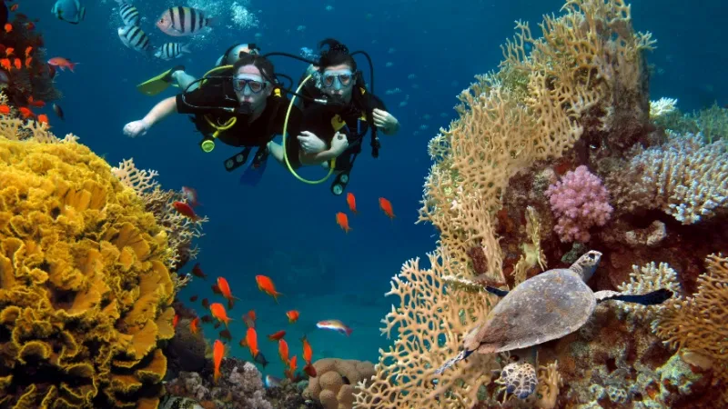 Explore the Charm of the Deep Ocean by Scuba Diving