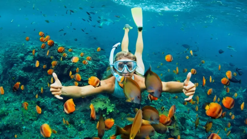 Peep into a Vibrant Underwater with Snorkeling