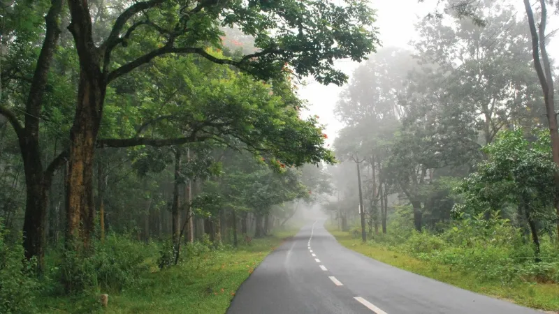 Best Places to Visit in Wayanad