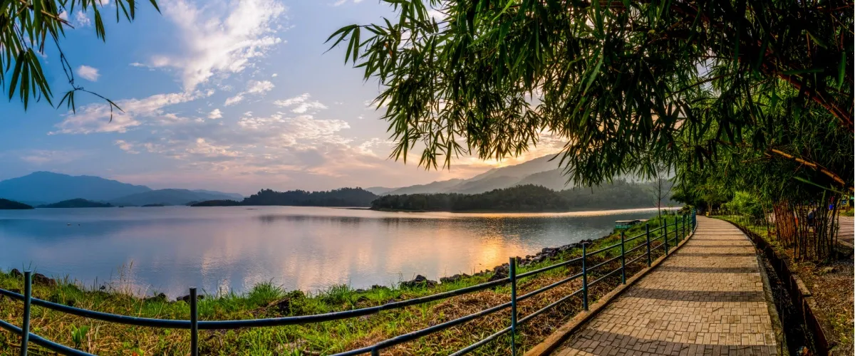 12 Places to Visit in Wayanad: Embrace this Green Paradise in Kerala