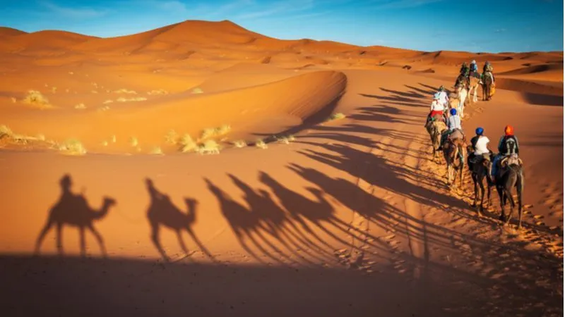 أفضل رحلات السفاري الصحراوية في الشارقة لتجربة الإثارة الحقيقية