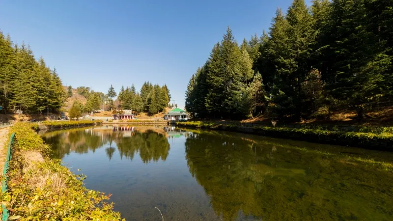 Tani-Jubbar Lake, Narkanda