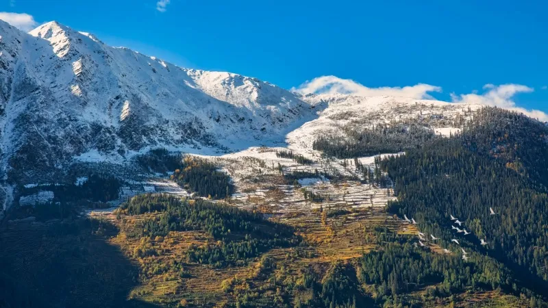 Narkanda, Himachal Pradesh