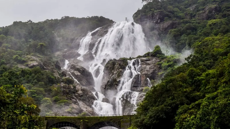 Dudhsagar Waterfalls, Goa