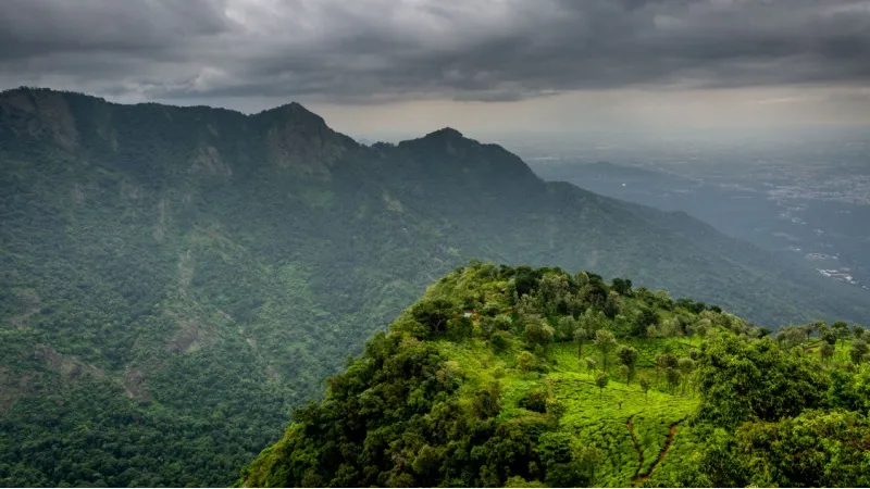 Dolphin’s Nose