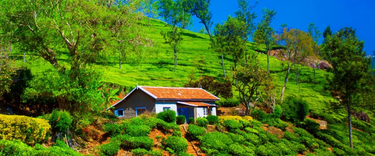 8 Places to Visit in Coonoor: A Sanctuary for Orophiles and Nature Lovers
