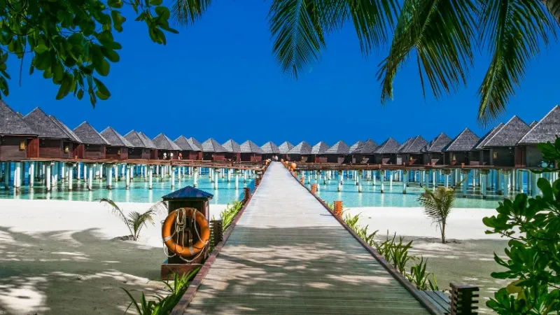 Water Villas: Feel the Waves Under Your Feet