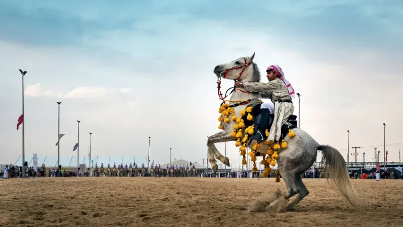 Horse Jumping Competition