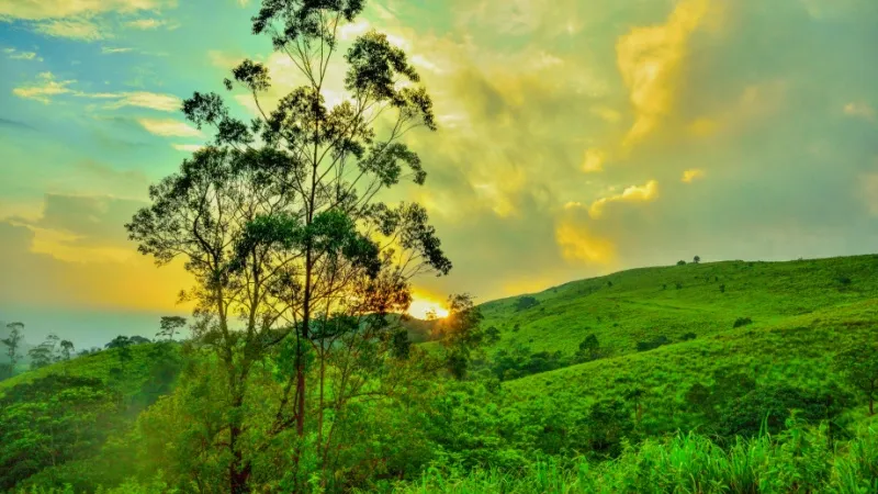 Best Places to Visit in Thekkady