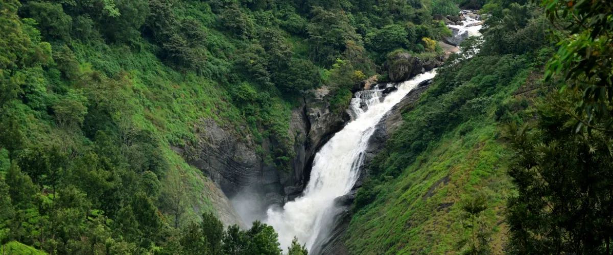 Top 10 Waterfalls in Kerala: Unveiling Nature's Beauty and Hidden Gems