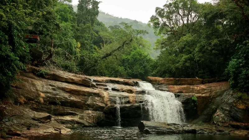 Thomankuthu Waterfalls