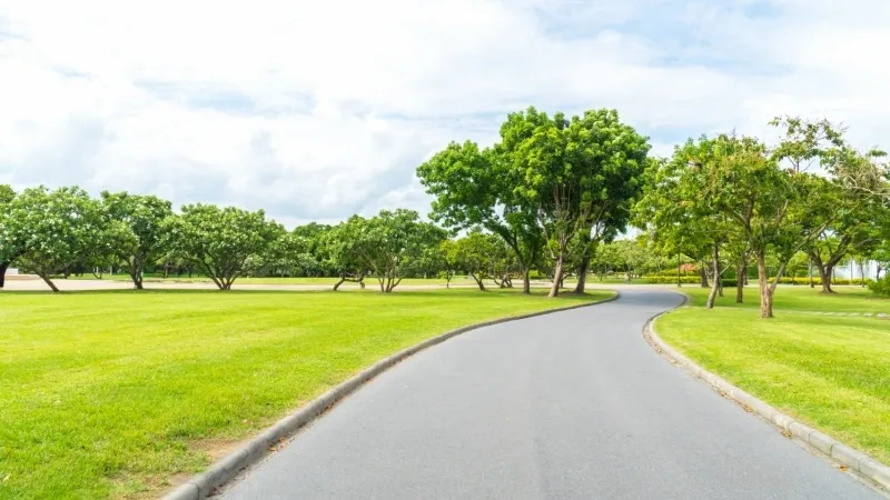 Picnic at Al Wakrah Park/ Public Garden