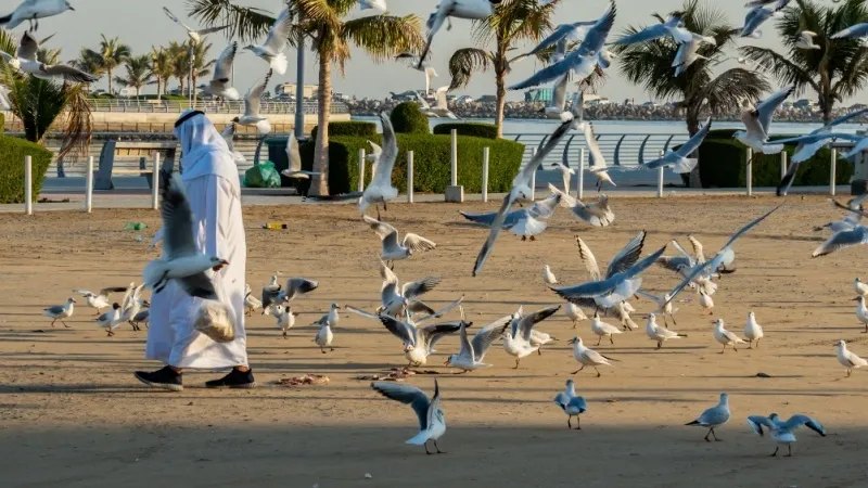 Ajman Marina 