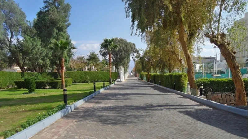 Stroll through Al Hamidiya Park 