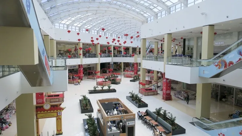 Dragon Mall