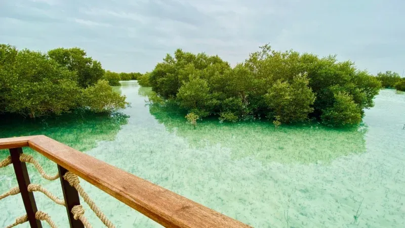 Mangrove National Park